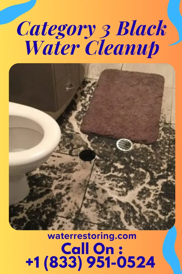 Category 3 Black Water Cleanup in North York, PA