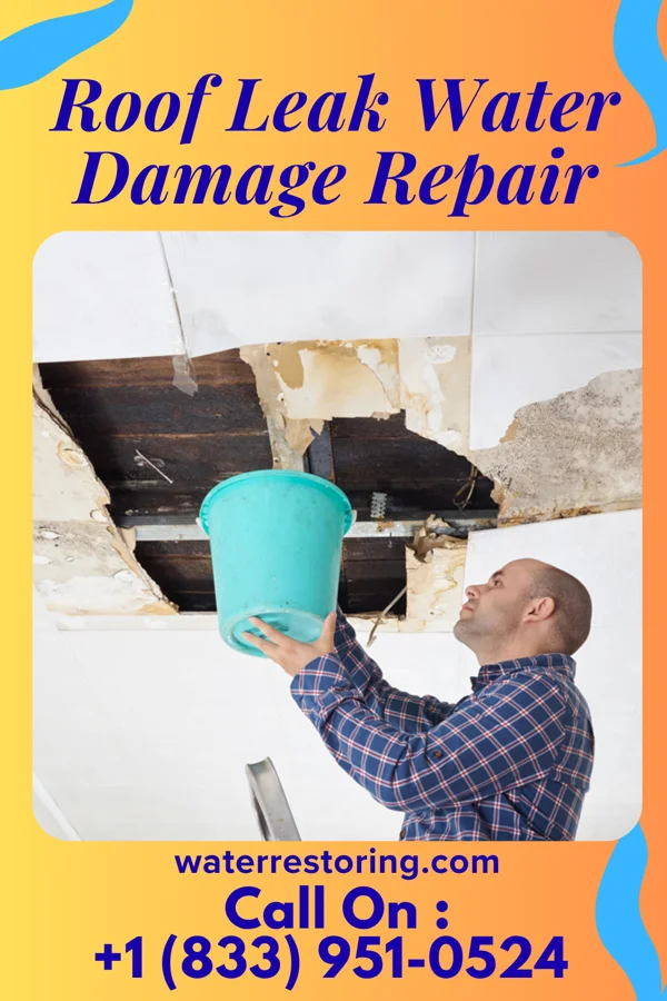 Roof Leak Water Damage Repair in North York, PA