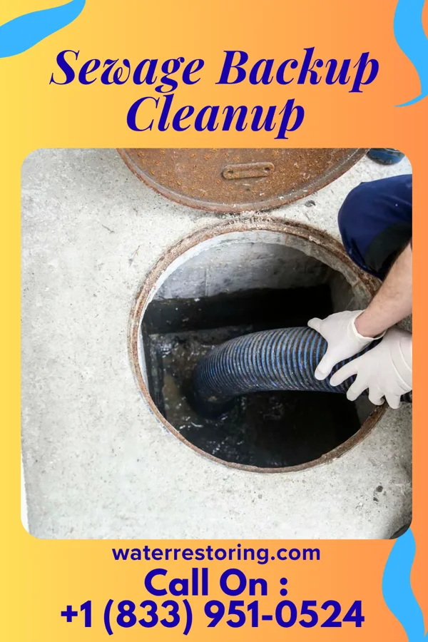 Sewage Backup Cleanup in North York, PA