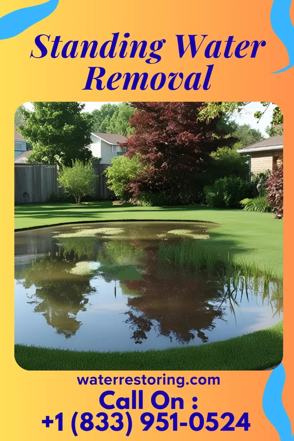 Standing Water Removal in North York, PA